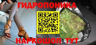 альфа пвп Гай