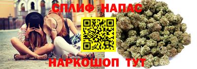 альфа пвп Гай
