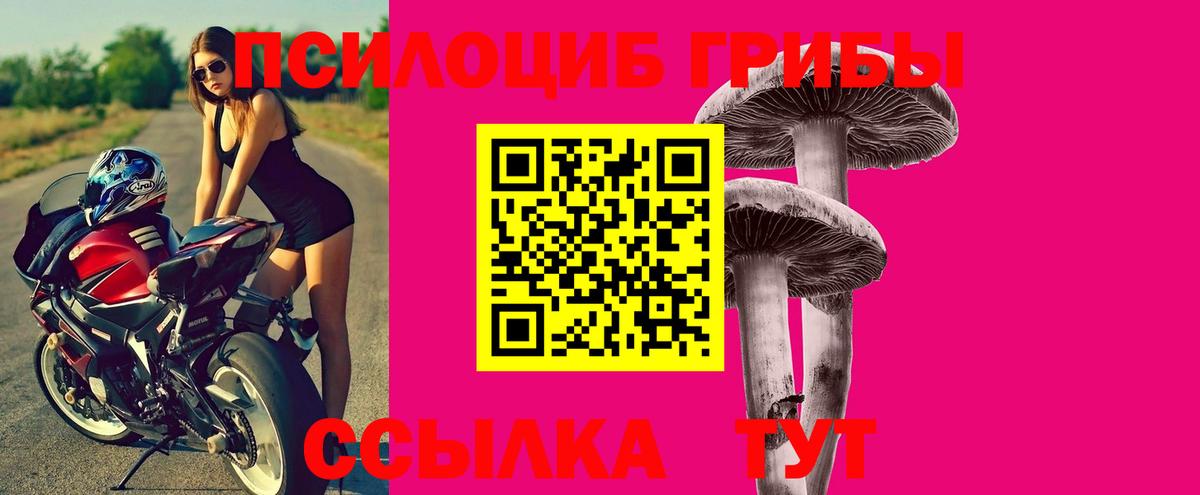 Лесосибирск  Псилоцибиновые грибы мухоморы  Вход с VPN  Псилоцибиновые грибы GOLDEN TEACHER 